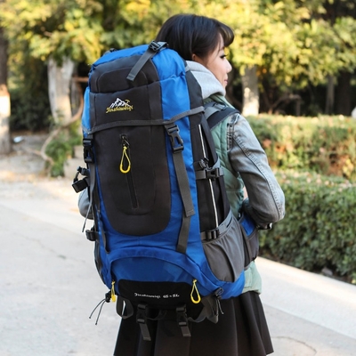 45L自由な軽量のハイキングのバックパックのPackableの移住のバックパック防水AZO